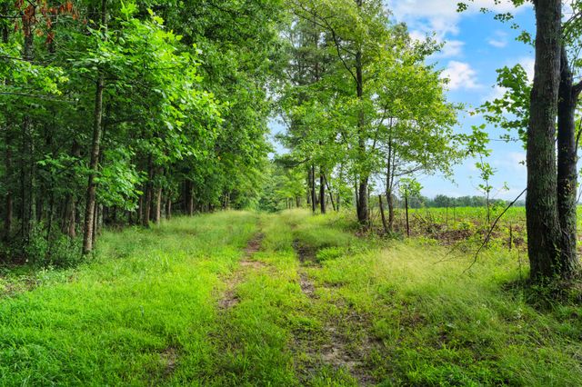 0 Saltzer Mountain Road West, Spencer, TN 38585