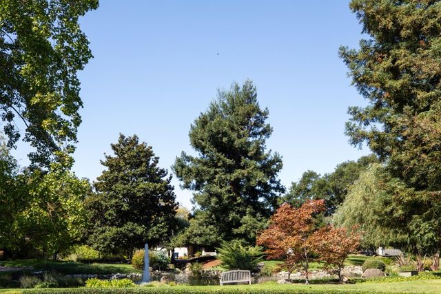 24 Bay Tree Lane, Los Altos, CA 94022