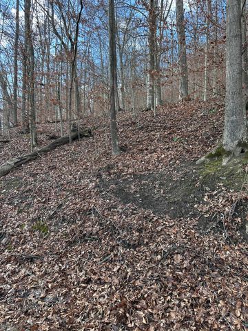 TBD North Fork Rd, Stanton, KY 40380