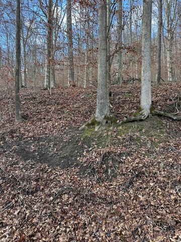 TBD North Fork Rd, Stanton, KY 40380