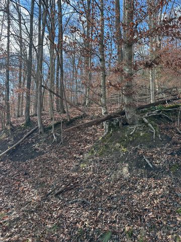 TBD North Fork Rd, Stanton, KY 40380