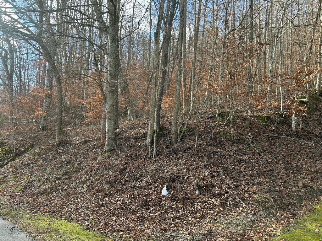TBD North Fork Rd, Stanton, KY 40380