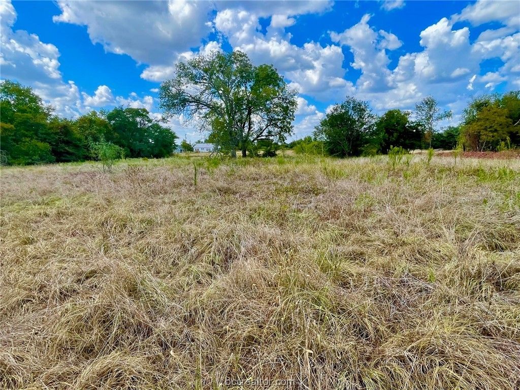 281 E FM 979, Franklin, TX 77856 — photo 2