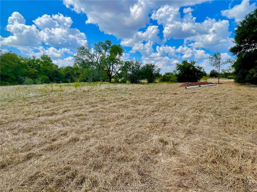 281 E FM 979, Franklin, TX 77856 — photo 3