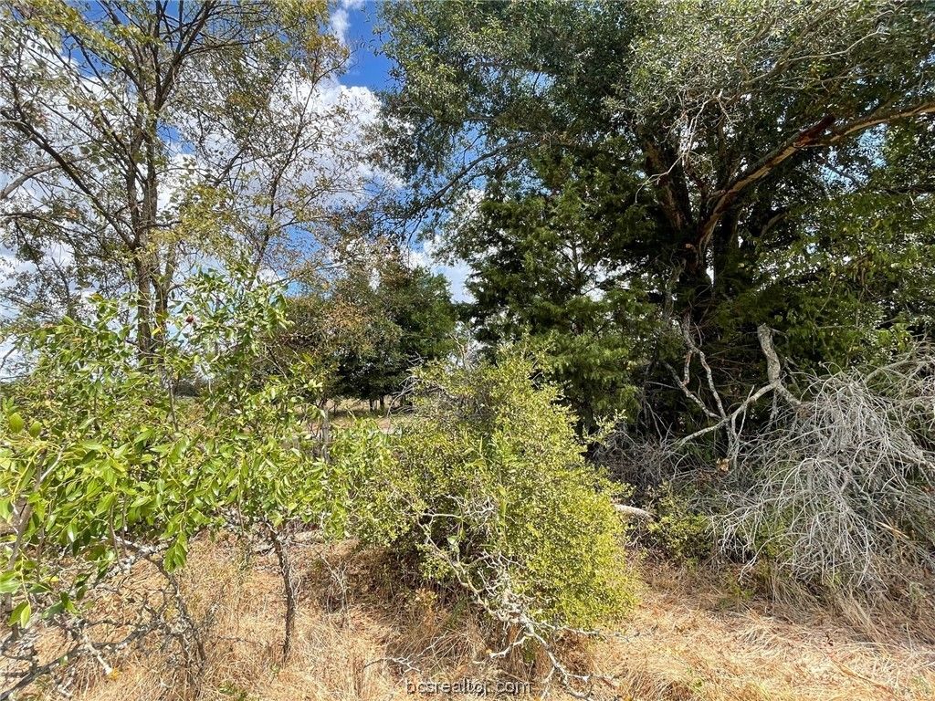 281 E FM 979, Franklin, TX 77856 — photo 4