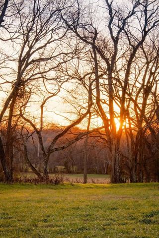 3016 Blythe Meadow Ln, Arrington, TN 37014