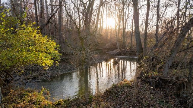 3016 Blythe Meadow Ln, Arrington, TN 37014