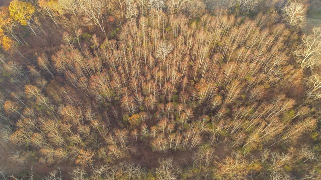 3016 Blythe Meadow Ln, Arrington, TN 37014