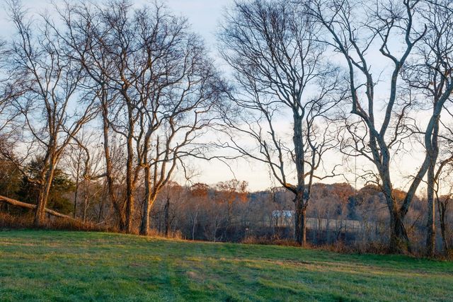 3016 Blythe Meadow Ln, Arrington, TN 37014