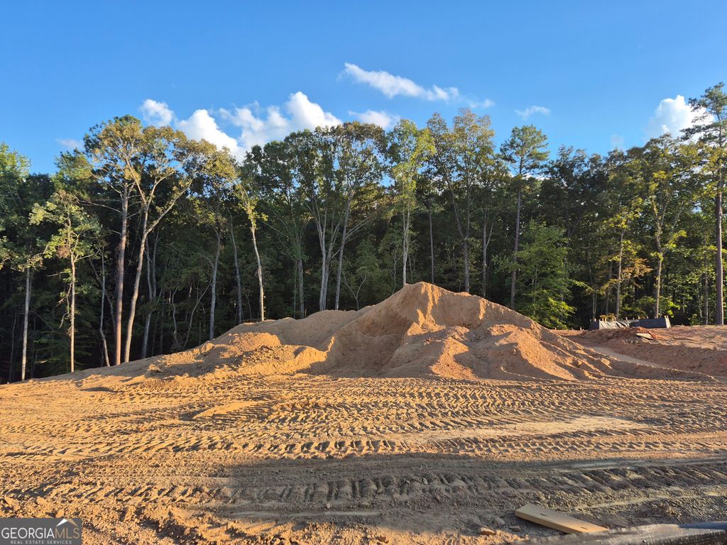 3363 Siena Place, Douglasville, GA 30135 — exterior