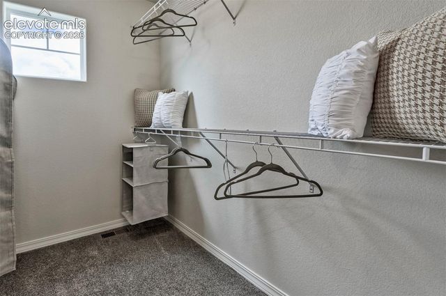 8522 Blue Feather Loop, Colorado Springs, CO 80908