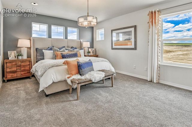 8522 Blue Feather Loop, Colorado Springs, CO 80908