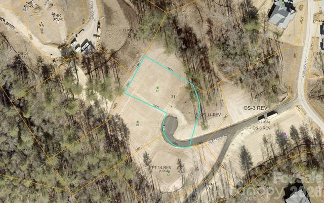 87 Mont Clair Trail 31, Horse Shoe, NC 28742