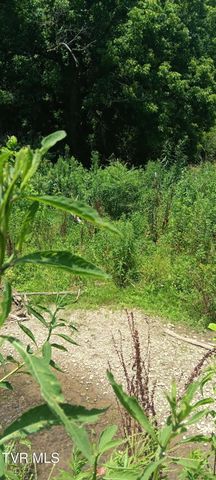 Tbd Boring Chapel Road, Johnson City, TN 37615