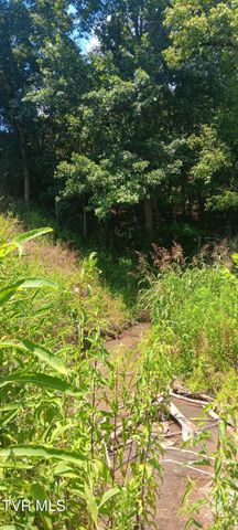 Tbd Boring Chapel Road, Johnson City, TN 37615