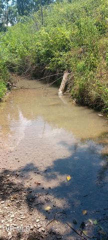 Tbd Boring Chapel Road, Johnson City, TN 37615