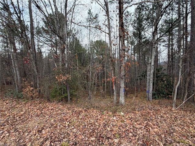 TBD Shumate Mountain Road, Hays, NC 28635