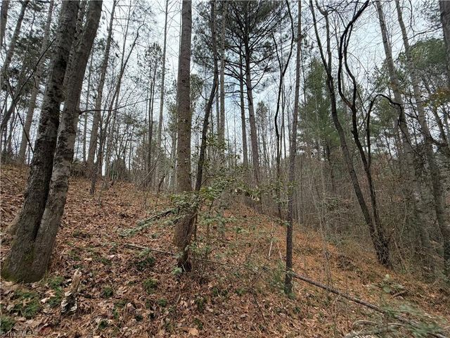 TBD Shumate Mountain Road, Hays, NC 28635