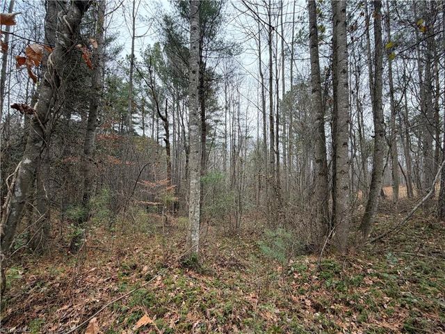 TBD Shumate Mountain Road, Hays, NC 28635
