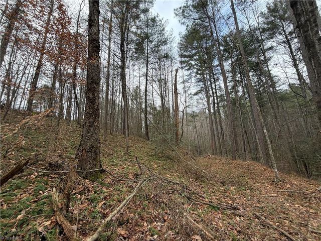 TBD Shumate Mountain Road, Hays, NC 28635