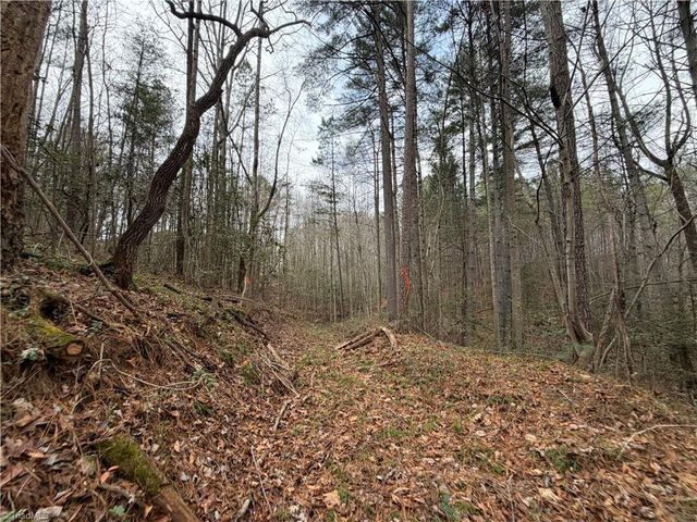 TBD Shumate Mountain Road, Hays, NC 28635