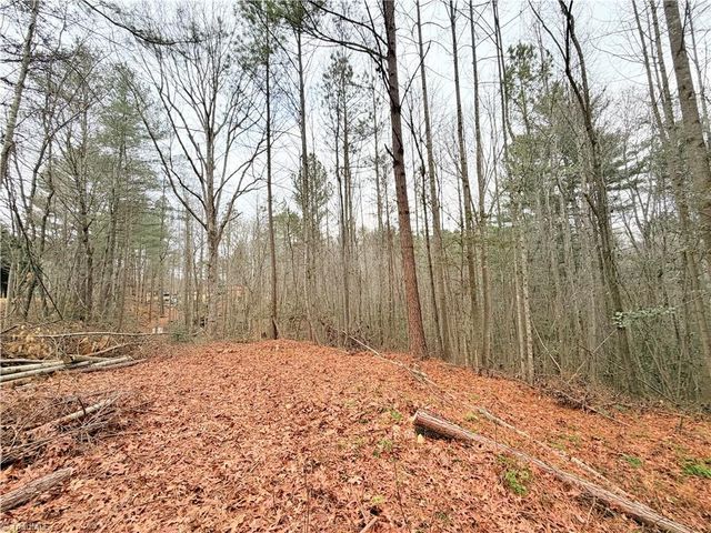 TBD Shumate Mountain Road, Hays, NC 28635