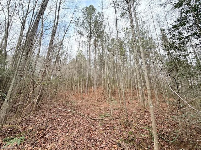 TBD Shumate Mountain Road, Hays, NC 28635
