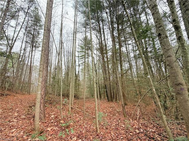 TBD Shumate Mountain Road, Hays, NC 28635
