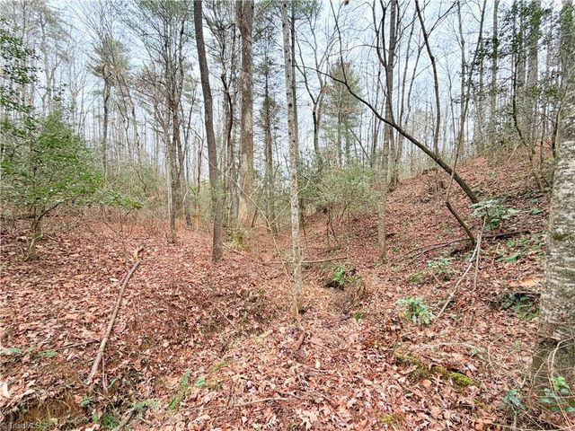 TBD Shumate Mountain Road, Hays, NC 28635