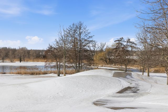 28920 N Niblick Knoll Court, Ivanhoe, IL 60060