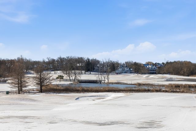 28920 N Niblick Knoll Court, Ivanhoe, IL 60060