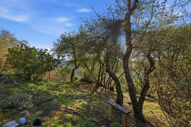 5045 Free Fox Ln, Placerville, CA 95667