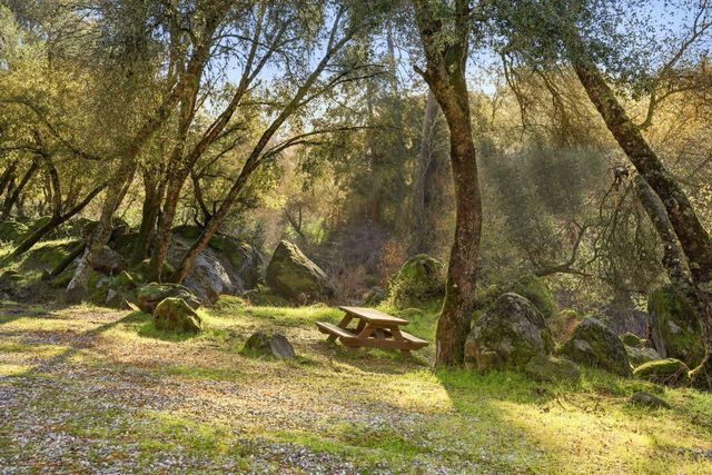 5045 Free Fox Ln, Placerville, CA 95667