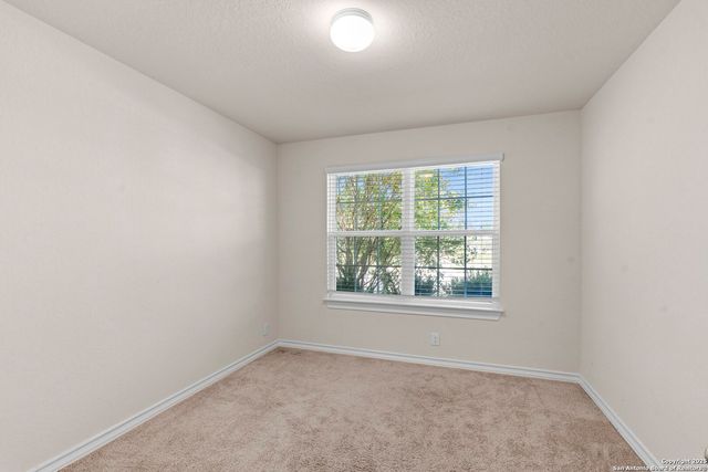 13362 Bearded, San Antonio, TX 78254