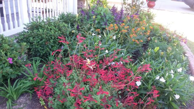 1709 Maplecress Way, Myrtle Beach, SC 29577