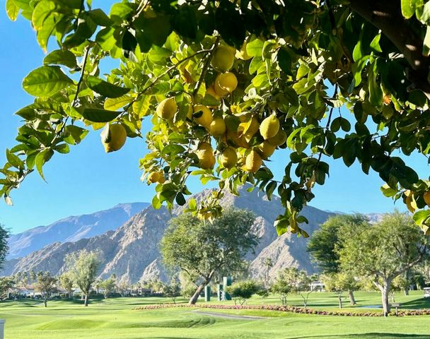 50623 Cereza, La Quinta, CA 92253