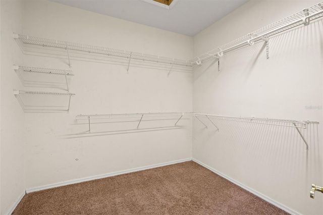 38116 ARCHER AVENUE, Zephyrhills, FL 33541