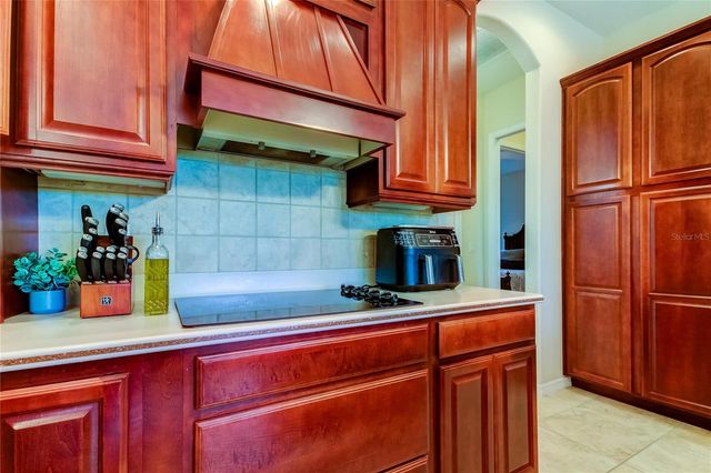 1422 ARISTIDES COURT, Odessa, FL 33556