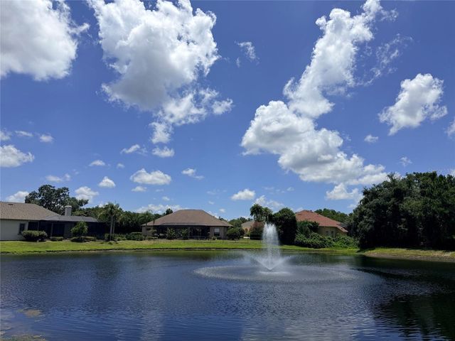 1422 ARISTIDES COURT, Odessa, FL 33556