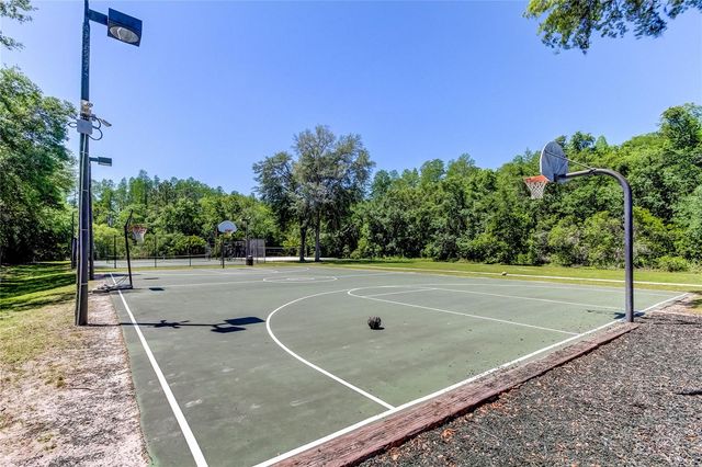 1422 ARISTIDES COURT, Odessa, FL 33556