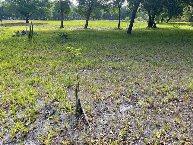 40165 ALBRITTON ROAD, Duette, FL 34219