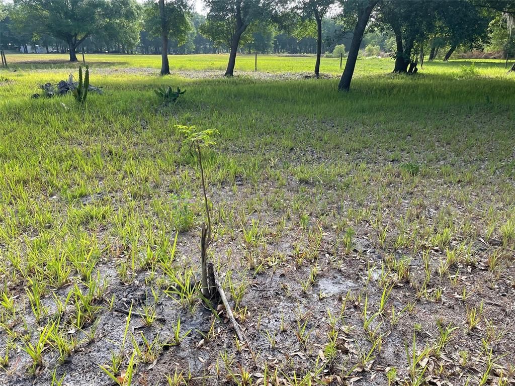 40165 ALBRITTON ROAD, Duette, FL 34219