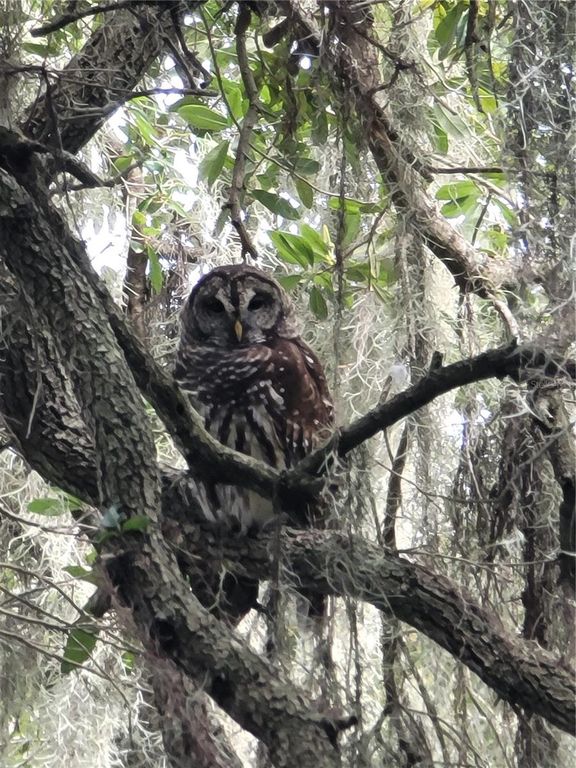 Image 47 of property listing at Address unavailable.