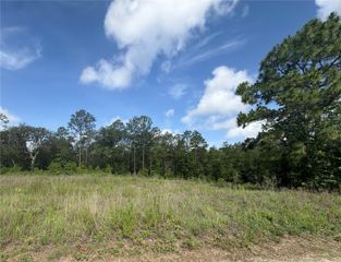 TBD SW 152 COURT, Ocala, FL 34481