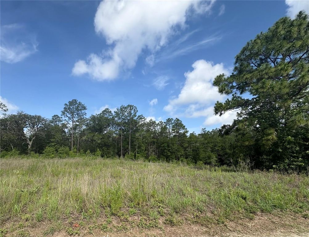 TBD SW 152 COURT, Ocala, FL 34481