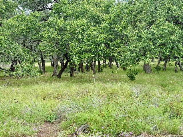 34781 High Gate, Bulverde, TX 78163