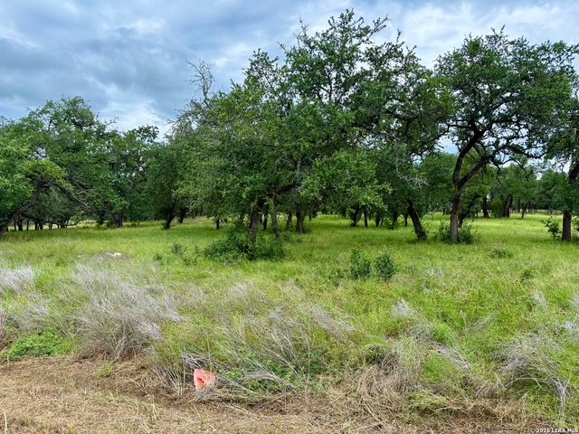 34781 High Gate, Bulverde, TX 78163