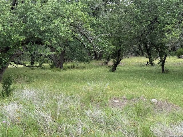 34781 High Gate, Bulverde, TX 78163