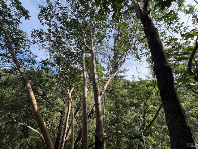 321 Portofino Way, Cloverdale, CA 95425