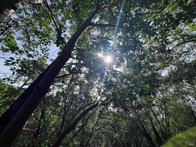 321 Portofino Way, Cloverdale, CA 95425